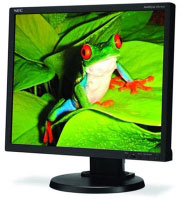 Nec MultiSync EA190M (60002767)